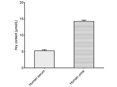 Homocysteine (Hcy) Colorimetric Assay Kit, Cell Assays, Elabscience Biotechnology, MSE Supplies