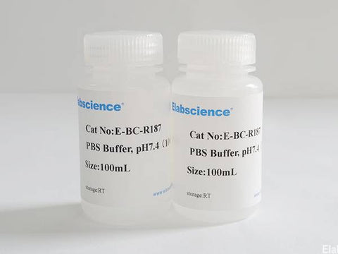 PBS Buffer, pH7.4 (10×)