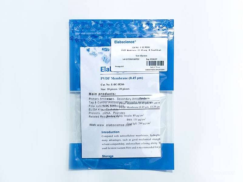PVDF Membrane (0.45 μm)