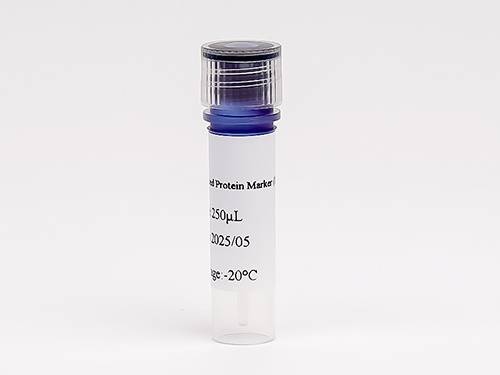 Pre-stained Protein Marker (10~180 kDa)