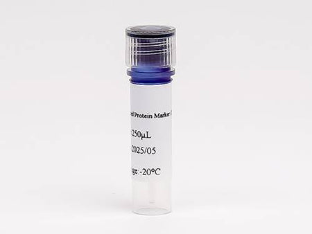 Pre-stained Protein Marker (10~180 kDa)