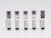 5× SDS Loading Buffer