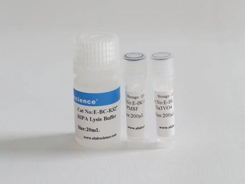 RIPA Lysis Buffer (Strong)