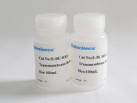 Transmembrane Buffer (10×)