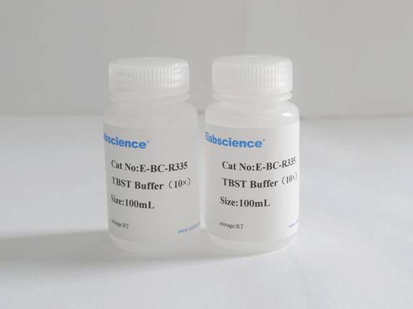 TBST Buffer, pH7.4 (10×)