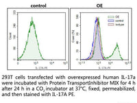 Protein Transport Inhibitor MIX, Cell Assays, Elabscience Biotechnology, MSE Supplies