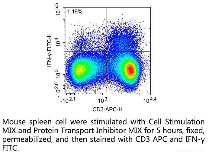 Cell Stimulation and Protein Transport Inhibitor Kit, Cell Assays, Elabscience Biotechnology, MSE Supplies