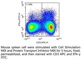 Cell Stimulation and Protein Transport Inhibitor Kit, Cell Assays, Elabscience Biotechnology, MSE Supplies