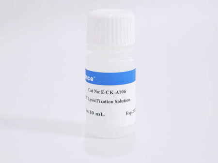 10× RBC Lysis/Fixation Solution, Cell Assays, Elabscience Biotechnology, MSE Supplies
