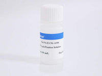 10× RBC Lysis/Fixation Solution, Cell Assays, Elabscience Biotechnology, MSE Supplies