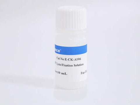 10× RBC Lysis/Fixation Solution | Elabscience Biotechnology