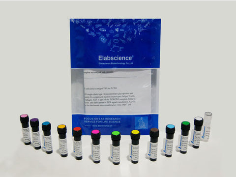 Annexin V-Biotin Azide-Free Lyophilized Powder, Cell Assays, Elabscience Biotechnology, MSE Supplies