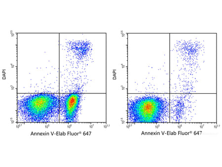 Annexin V-Elab Fluor® 647 Reagent, Cell Assays, Elabscience Biotechnology, MSE Supplies