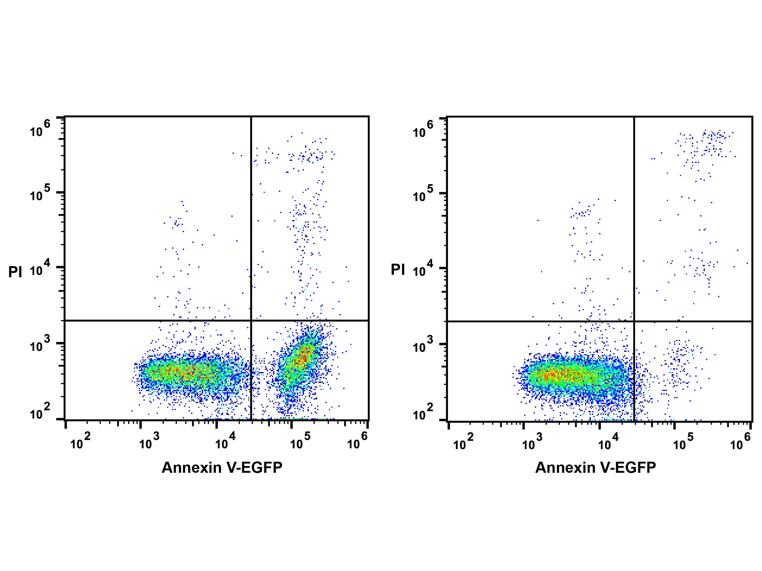 Annexin V-EGFP Azide-Free Lyophilized Powder, Cell Assays, Elabscience Biotechnology, MSE Supplies