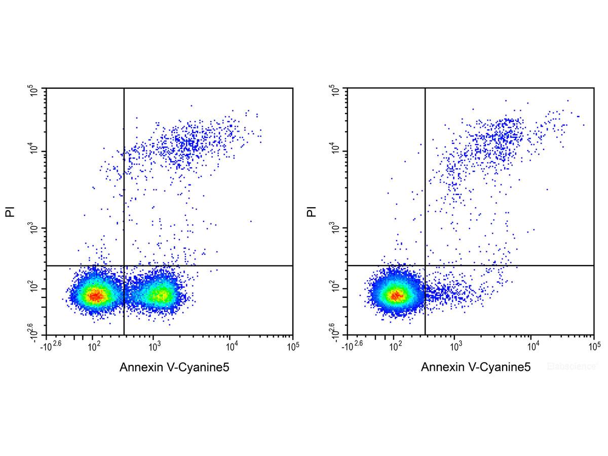 Annexin V-Cyanine5 Reagent, Cell Assays, Elabscience Biotechnology, MSE Supplies