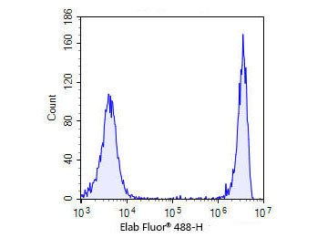 Elab Fluor® 488-11-dUTP, Cell Assays, Elabscience Biotechnology, MSE Supplies