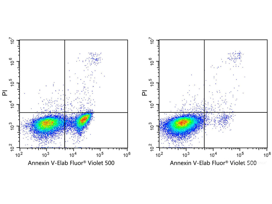Annexin V-Elab Fluor® Violet 500 Azide-Free Lyophilized Powder, Cell Assays, Elabscience Biotechnology, MSE Supplies