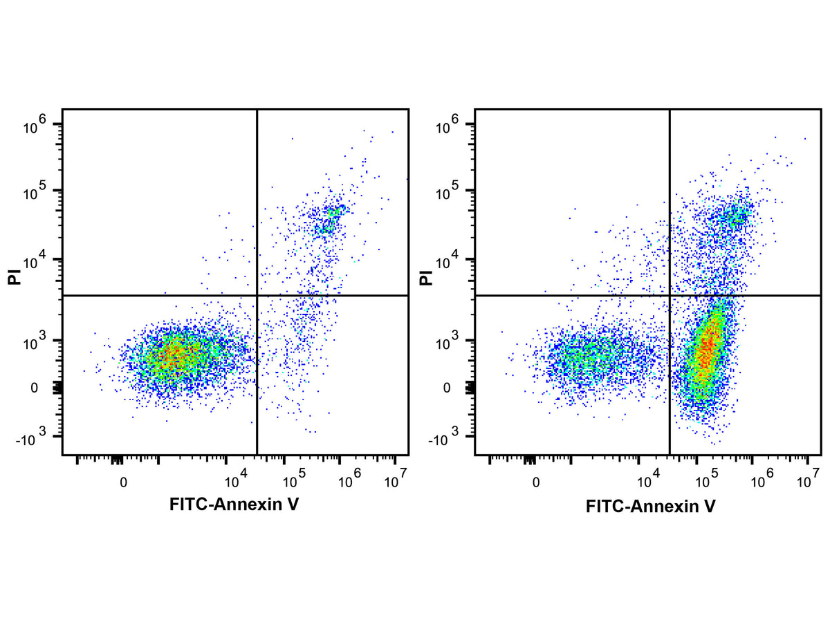 Annexin V Binding Buffer (10×), Cell Assays, Elabscience Biotechnology, MSE Supplies
