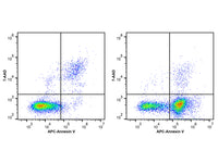 Annexin V Binding Buffer (10×), Cell Assays, Elabscience Biotechnology, MSE Supplies