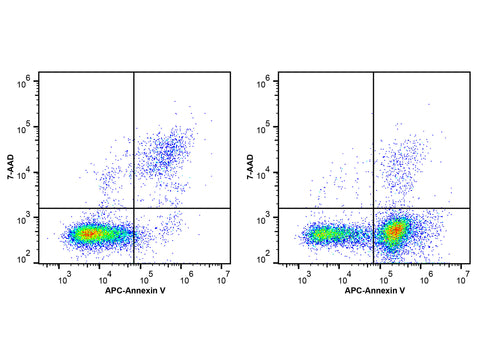 Annexin V Binding Buffer (10×), Cell Assays, Elabscience Biotechnology, MSE Supplies