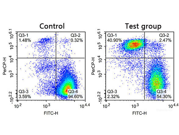 Calcein AM Assay Buffer, Cell Assays, Elabscience Biotechnology, MSE Supplies