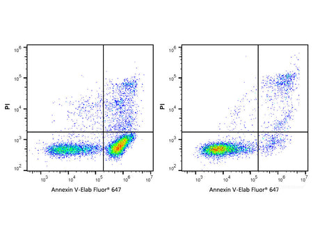 Annexin V-Elab Fluor® 647/PI Apoptosis Kit, Cell Assays, Elabscience Biotechnology, MSE Supplies