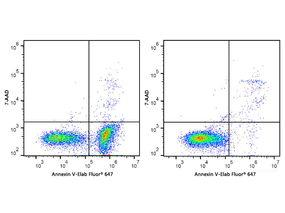 Annexin V-Elab Fluor® 647/7-AAD Apoptosis Kit, Cell Assays, Elabscience Biotechnology, MSE Supplies