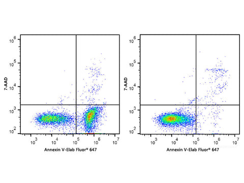 Annexin V-Elab Fluor® 647/7-AAD Apoptosis Kit, Cell Assays, Elabscience Biotechnology, MSE Supplies