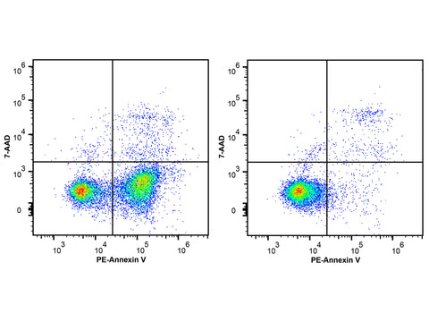 Annexin V-PE/7-AAD Apoptosis Kit, Cell Assays, Elabscience Biotechnology, MSE Supplies