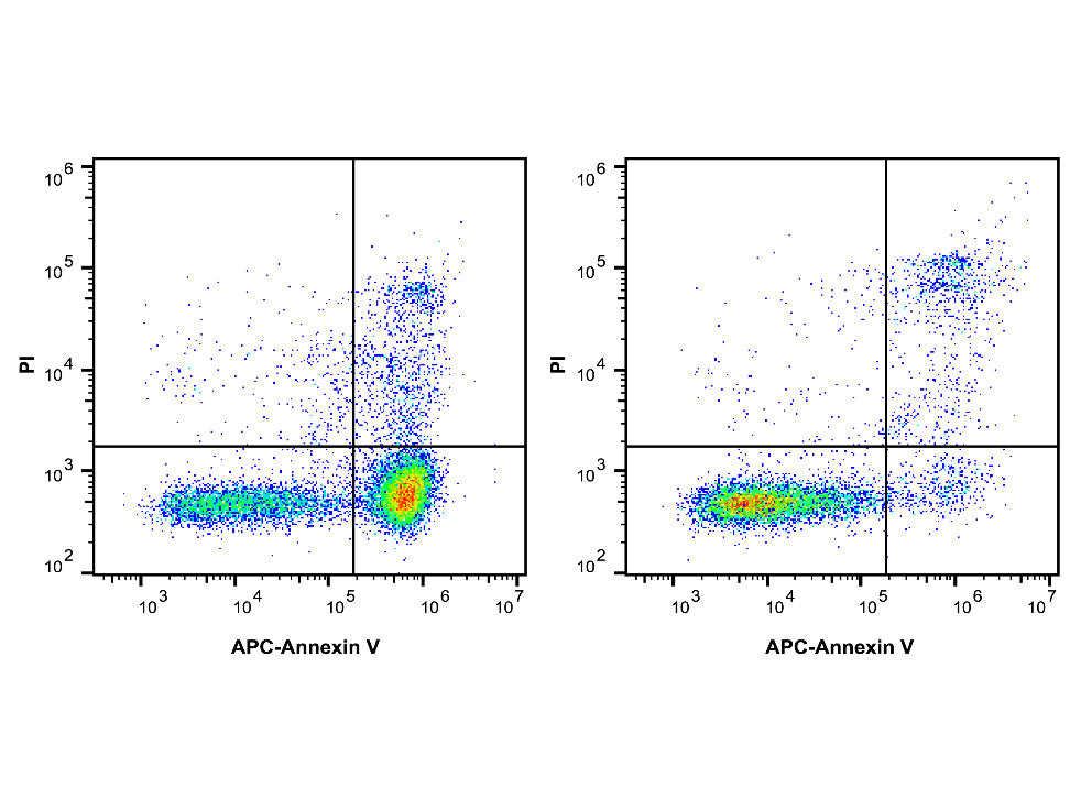 Annexin V-APC/PI Apoptosis Kit, Cell Assays, Elabscience Biotechnology, MSE Supplies