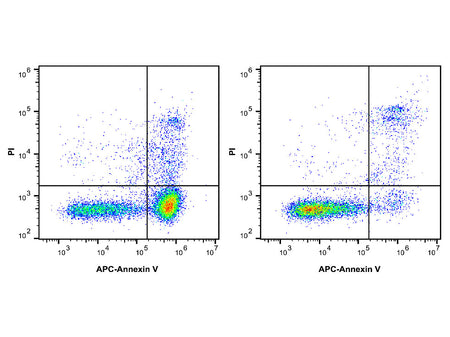 Annexin V-APC/PI Apoptosis Kit, Cell Assays, Elabscience Biotechnology, MSE Supplies