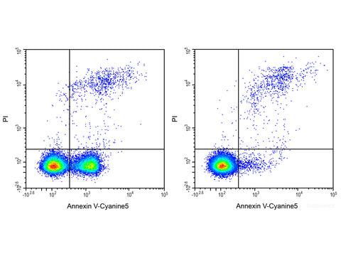Annexin V-Cyanine5/PI Apoptosis Kit, Cell Assays, Elabscience Biotechnology, MSE Supplies