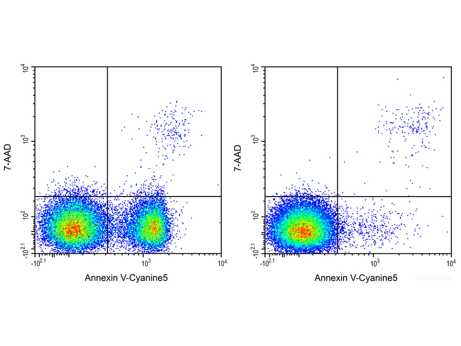 Annexin V-Cyanine5/7-AAD Apoptosis Kit, Cell Assays, Elabscience Biotechnology, MSE Supplies