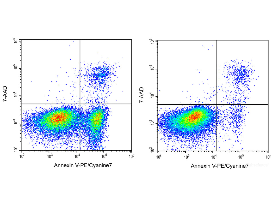 Annexin V-PE/Cyanine7/7-AAD Apoptosis Kit, Cell Assays, Elabscience Biotechnology, MSE Supplies