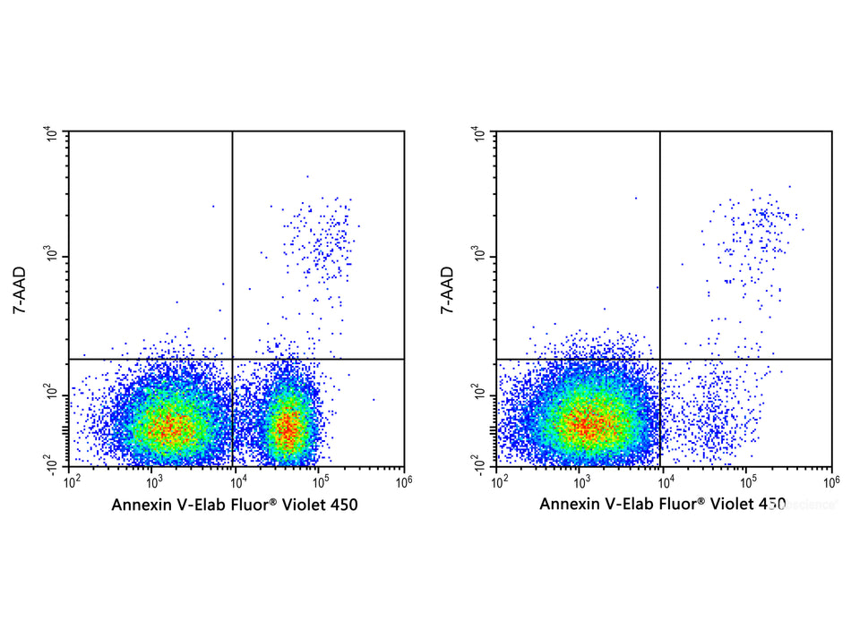 Annexin V-Elab Fluor® Violet 450/7-AAD Apoptosis Kit, Cell Assays, Elabscience Biotechnology, MSE Supplies