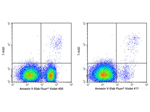 Annexin V-Elab Fluor® Violet 450/7-AAD Apoptosis Kit, Cell Assays, Elabscience Biotechnology, MSE Supplies