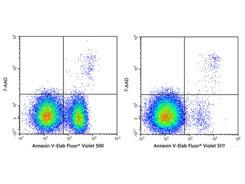 Annexin V-Elab Fluor® Violet 500/7-AAD Apoptosis Kit, Cell Assays, Elabscience Biotechnology, MSE Supplies