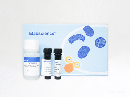 Annexin V-Elab Fluor® 488/PI Apoptosis Kit, Cell Assays, Elabscience Biotechnology, MSE Supplies