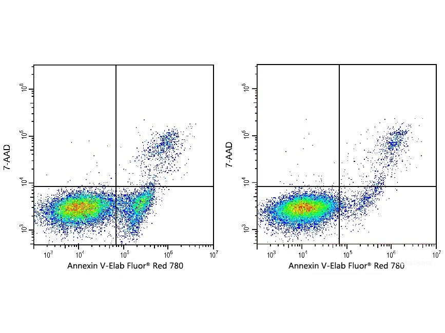 Annexin V-Elab Fluor® Red 780/7-AAD Apoptosis Kit, Cell Assays, Elabscience Biotechnology, MSE Supplies