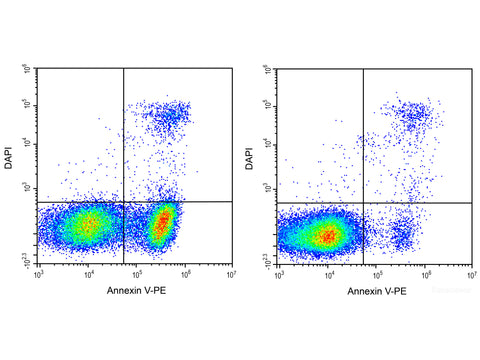 Annexin V-PE/DAPI Apoptosis Kit, Cell Assays, Elabscience Biotechnology, MSE Supplies