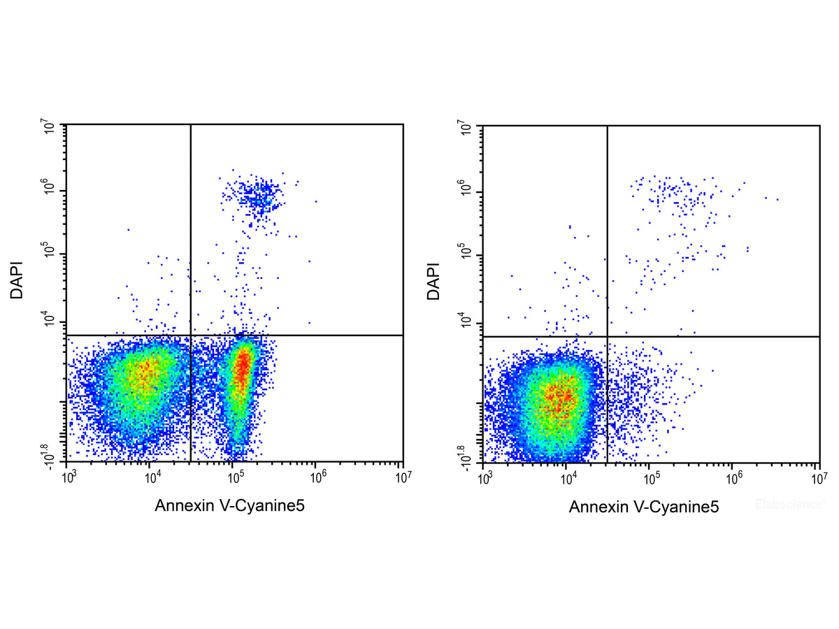 Annexin V-Cyanine5/DAPI Apoptosis Kit, Cell Assays, Elabscience Biotechnology, MSE Supplies