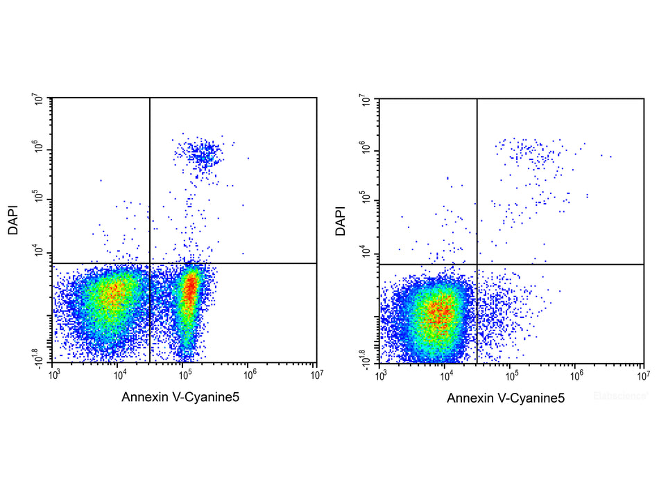 Annexin V-Cyanine5/DAPI Apoptosis Kit, Cell Assays, Elabscience Biotechnology, MSE Supplies