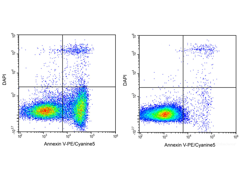 Annexin V-PE/Cyanine5/DAPI Apoptosis Kit, Cell Assays, Elabscience Biotechnology, MSE Supplies