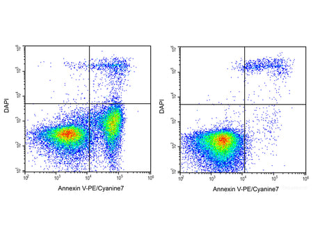 Annexin V-PE/Cyanine7/DAPI Apoptosis Kit, Cell Assays, Elabscience Biotechnology, MSE Supplies