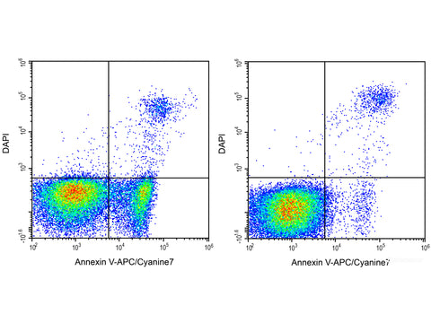 Annexin V-APC/Cyanine7/DAPI Apoptosis Kit, Cell Assays, Elabscience Biotechnology, MSE Supplies