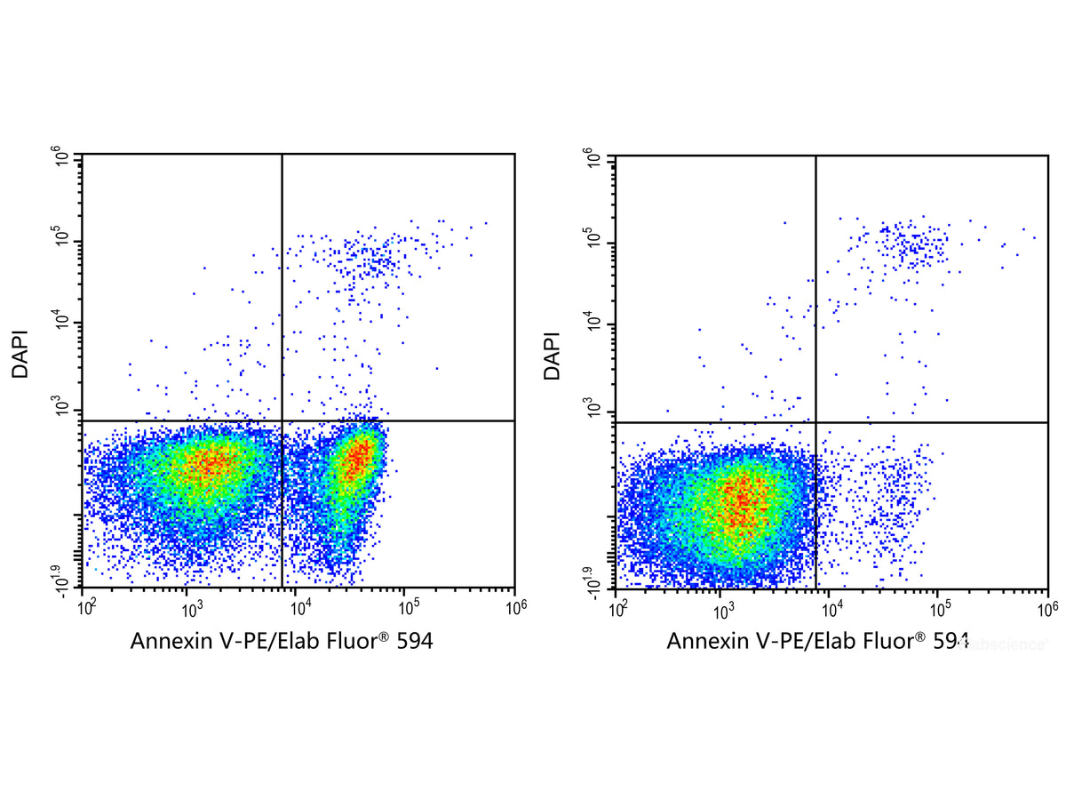 Annexin V-PE/Elab Fluor® 594/DAPI Apoptosis Kit, Cell Assays, Elabscience Biotechnology, MSE Supplies