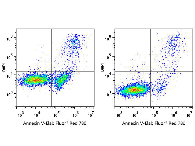 Annexin V-Elab Fluor® Red 780/DAPI Apoptosis Kit, Cell Assays, Elabscience Biotechnology, MSE Supplies