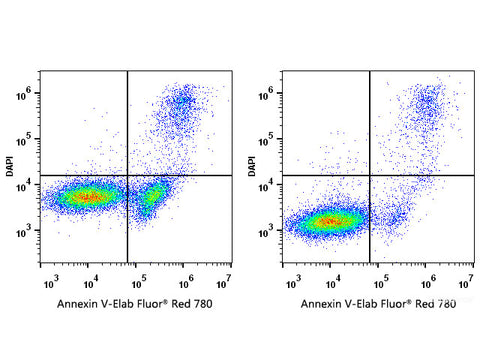 Annexin V-Elab Fluor® Red 780/DAPI Apoptosis Kit, Cell Assays, Elabscience Biotechnology, MSE Supplies