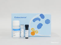 Mitochondrial Membrane Potential Assay Kit (with JC-1) - MSE Supplies LLC