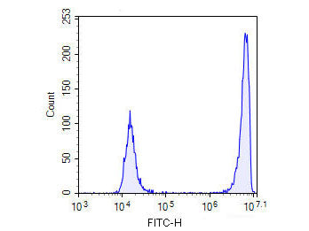 One-step TUNEL In Situ Apoptosis Kit (Green, FITC), Cell Assays, Elabscience Biotechnology, MSE Supplies